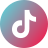 tiktok icon